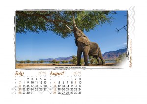 Caught In Action - 2019 - 7